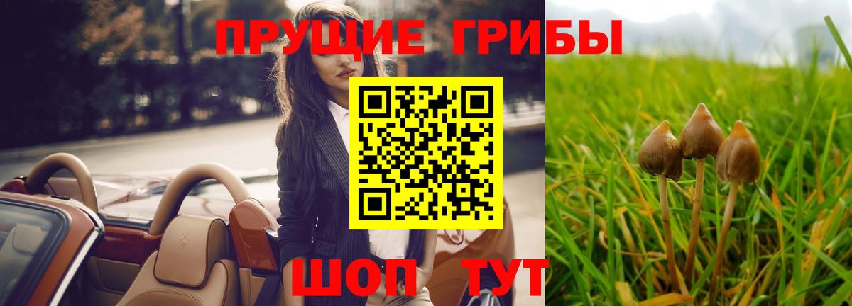 Заводоуковск  Псилоцибиновые грибы Magic Shrooms  где купить наркоту  Вход с VPN 